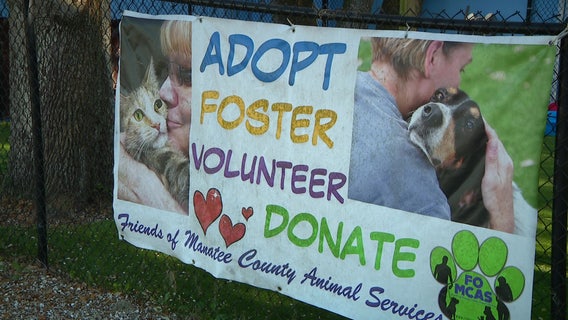 Manatee County Animal Welfare sees major influx of dogs, waives adoption fees