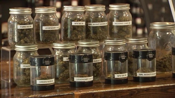 Legislation aimed at restricting hemp could cost Florida industry billions of dollars