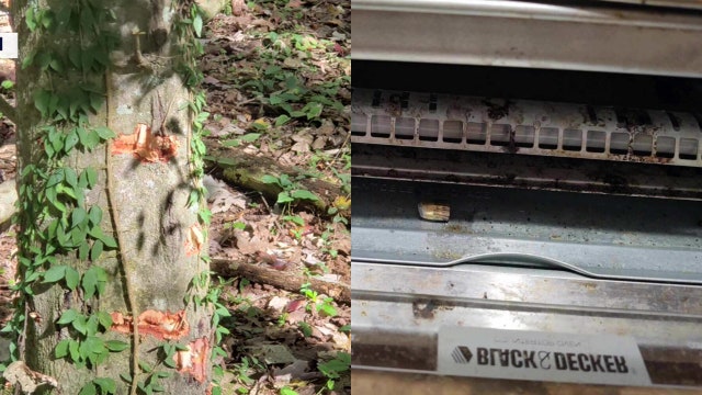 Bullets flying in Seffner neighborhood has residents on edge: ‘Ya’ll got to go’