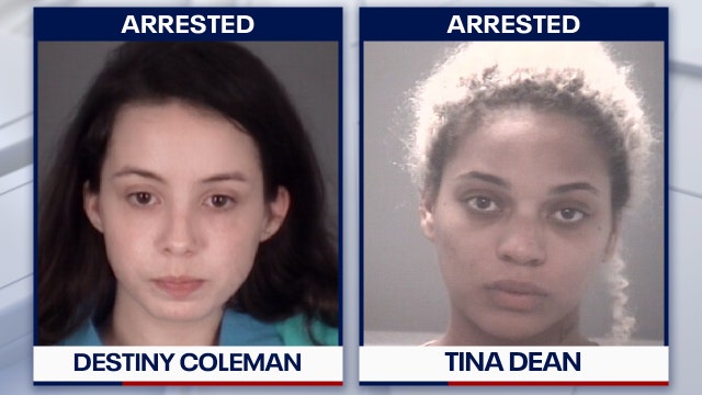 Police: Dog bites 1-year-old after mother left New Port Richey home to purchase drugs, alcohol