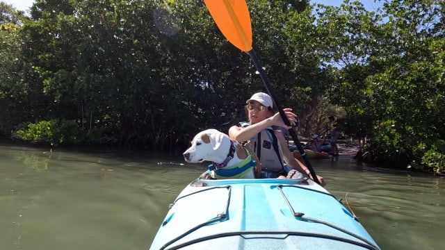 Safely take your dog on a kayaking adventure