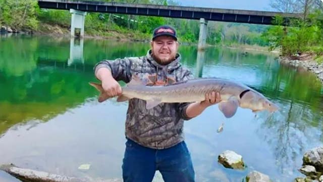 Check it out: Man catfishing in Missouri snags 4-foot prehistoric fish instead