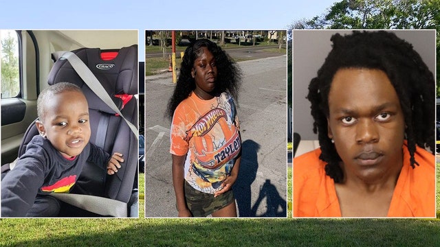 St. Pete man pleads not guilty to killing woman, missing toddler found in alligators mouth