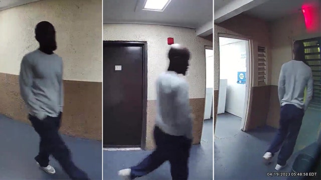 Tampa police searching for suspect who attacked woman at apartment complex, stole her backpack