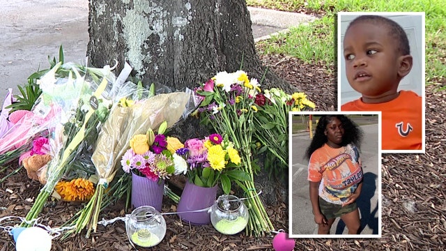 St. Pete mother stabbed more than 100 times two days before toddler’s body found, court records show