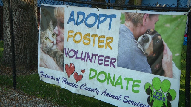 Manatee County Animal Welfare sees major influx of dogs, waives adoption fees