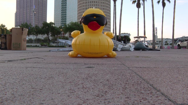 The Incredible Duck Race returns to Tampa