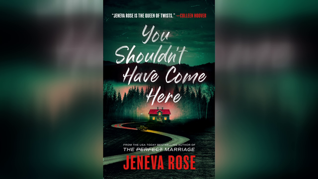 New thriller 'You Shouldn't Have Come Here' tells cautionary tale of vacation fling