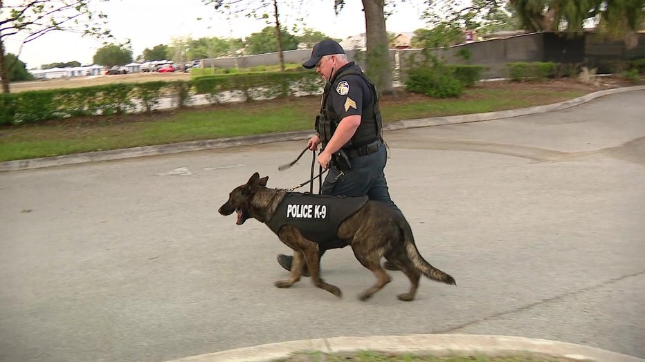 City k9 sales