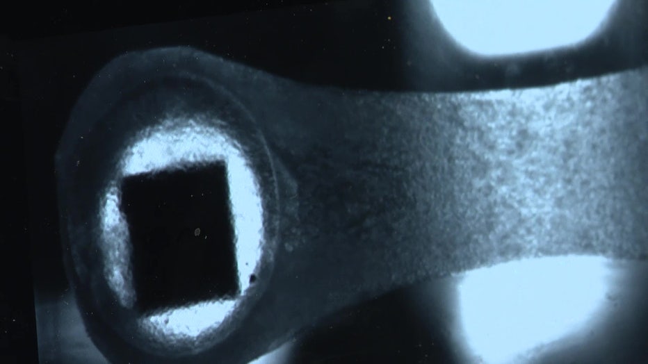 Microscopic view of heart tissue that went into space.
