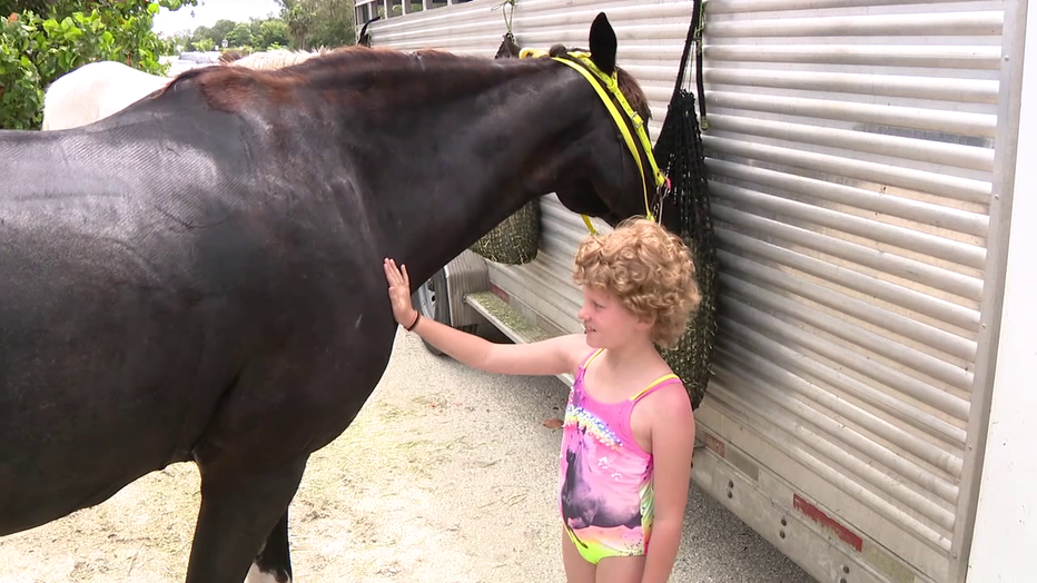 WATCH: Dolphins safeties learn to ride horses together