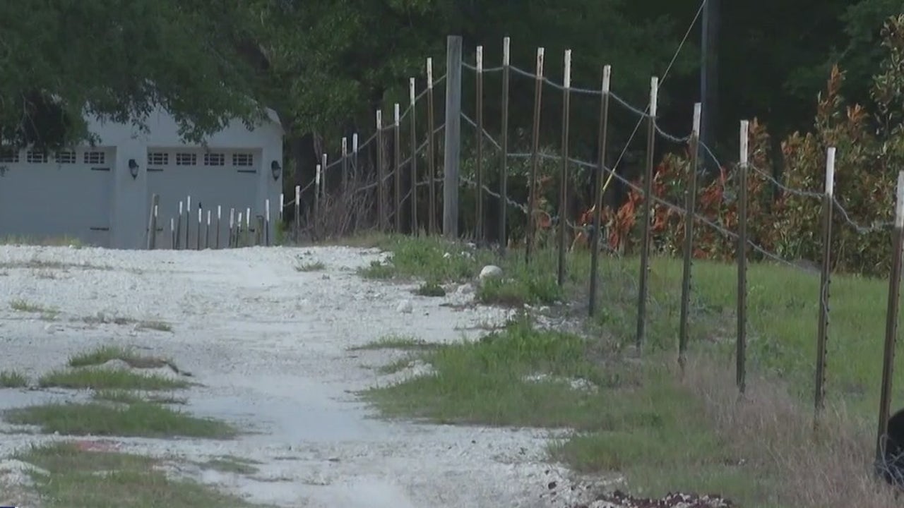 8-year-old boy with autism drowns after falling into horse trough in Hernando County - Vimarsana News