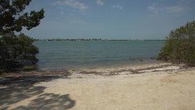 Historic Jungle Prada Park in St. Pete offers glimpse into the past