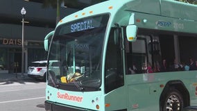 SunRunner hoping to add three new buses as it gains popularity