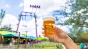 Busch Gardens brings back free beer for the summer