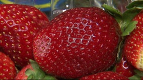 Celebrating the Strawberry: Keel Farms strawberry Riesling vinaigrette