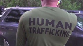 USF 'TiP Lab' becomes central database for tracking human trafficking across Florida