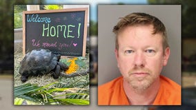 Rare stolen tortoise returned to Florida zoo as investigators continue searching St. Pete suspect's home