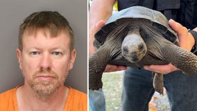 Suspect arrested for stealing 2 endangered tortoises from Florida zoo; 1 found dead in freezer: Police