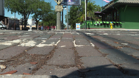 Tampa city councilman hopes Ybor City could see return of bricks to historic 7th Avenue
