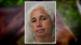 Bartow riding program executive director arrested after 8 horses found in bad condition