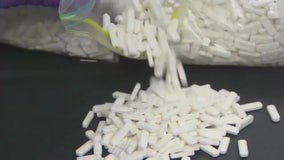 Pasco County to use settlement money to launch fund to combat opioid crisis