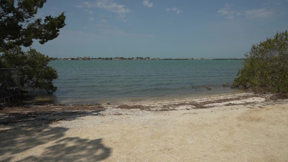 Historic Jungle Prada Park in St. Pete offers glimpse into the past