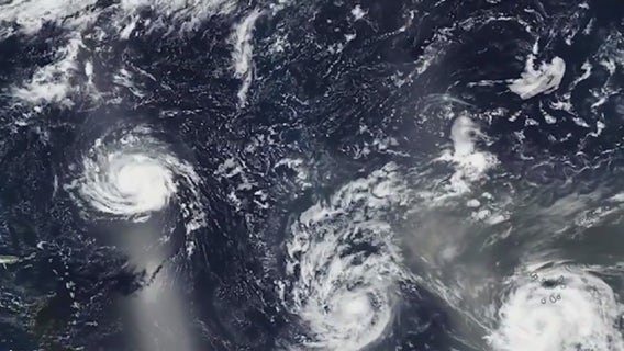 1 in 4 Floridians would ignore hurricane evacuation warnings, AAA survey finds