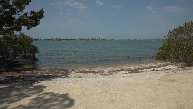 Historic Jungle Prada Park in St. Pete offers glimpse into the past