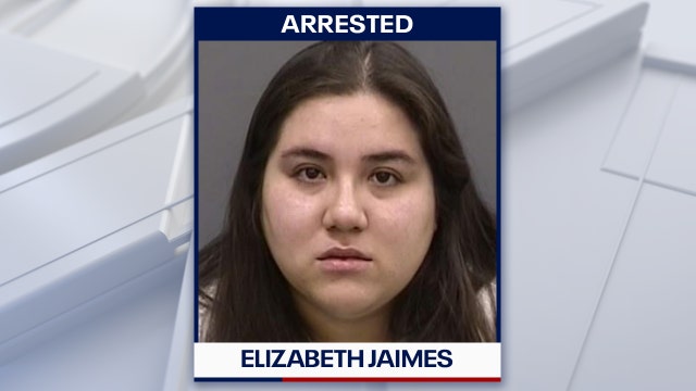 Hillsborough woman captured on surveillance video attacking dog with rubber mallet, deputies say