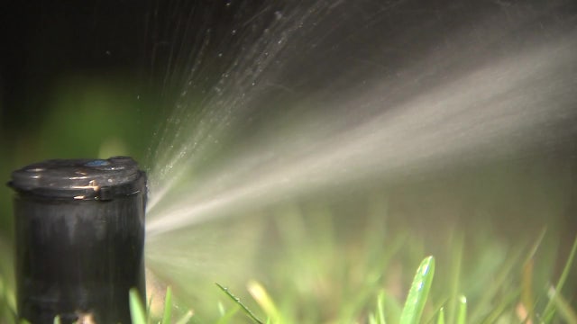 Hillsborough County cracks down on water violators