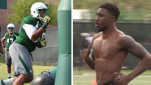 Former USF Bulls will meet in XFL Championship game