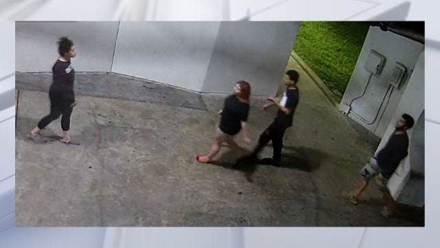 Four arrested in violent robbery at New Port Richey park, police say