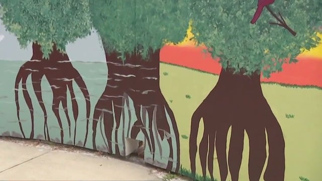 Carrollwood Cultural Center bridging community, culture through variety of arts classes and events