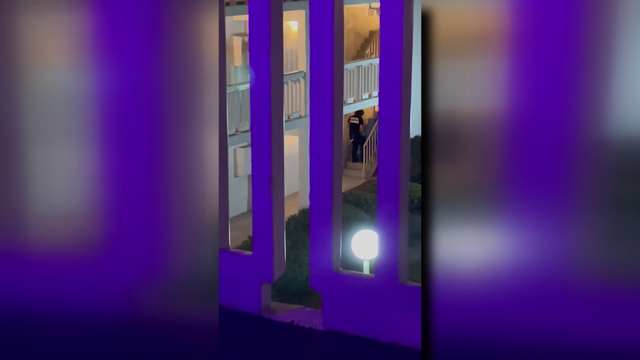 Pinellas medical examiner employee seen dragging woman in body bag down apartment complex stairs