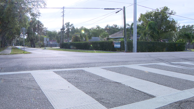 Rabies alert issued after feral cat tests positive in Palmetto