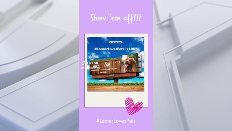 Proud pet owners can see their four-legged friend on a Tampa billboard for National Pet Month.