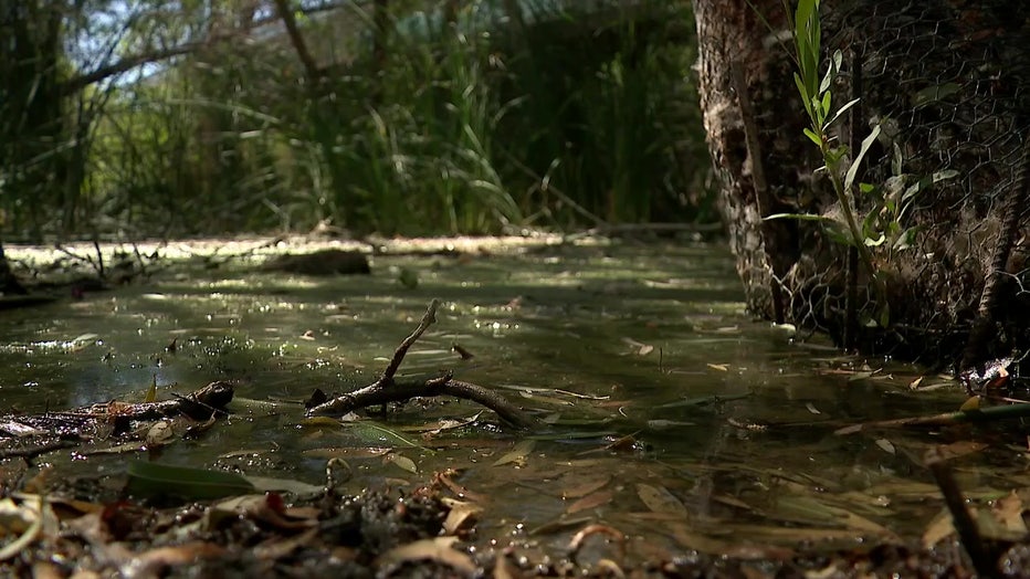 File: The EPA has the authority to regulate wetlands.