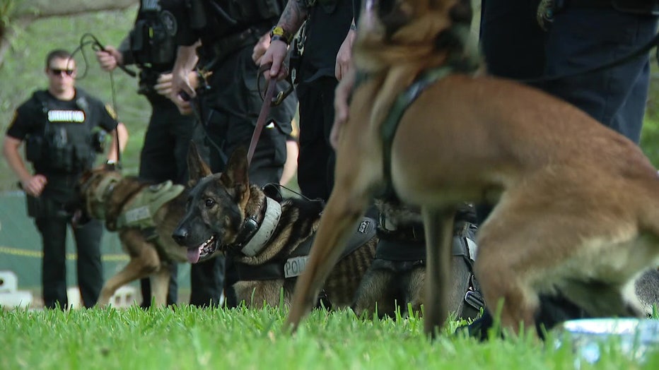 File: K-9 handlers see police dogs as essential parts of the team.