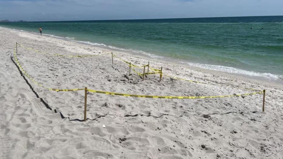 FOX-Weather-dune-restoration2.jpg