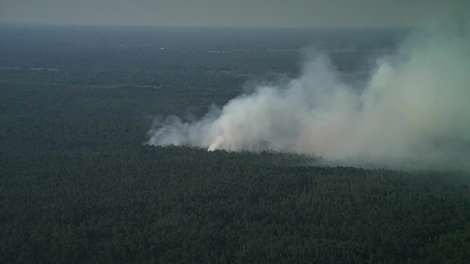 43-acres burned in a preserve near East Lake on Sunday. 