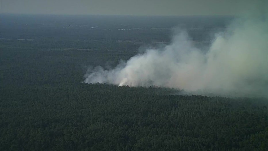 43-acres burned in a preserve near East Lake on Sunday.