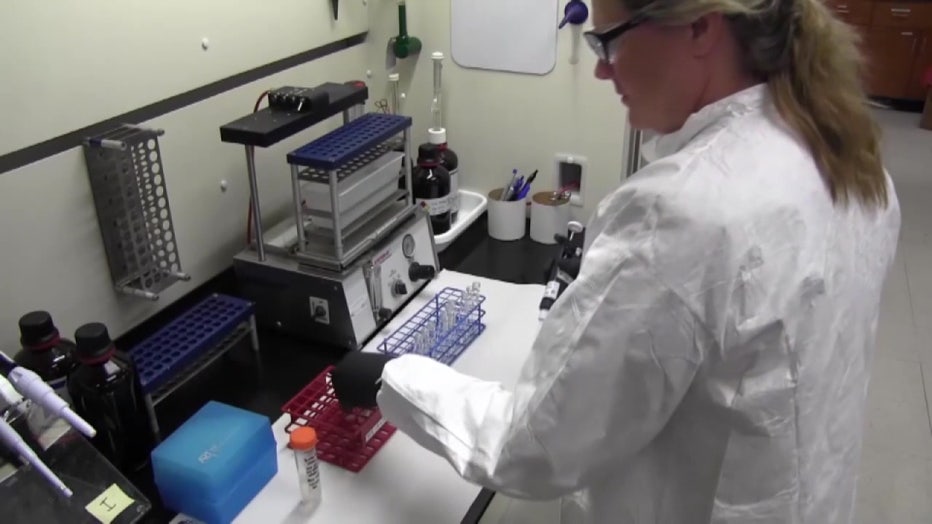 File: Woman in a lab.