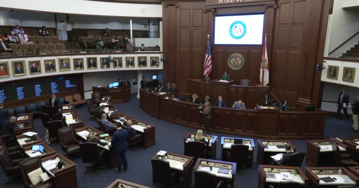 Here's what to know about new Florida laws going into effect on July 1 ...