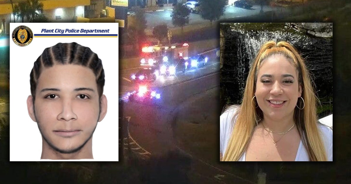 Sketch of road rage suspect in deadly I-4 shooting released by ...