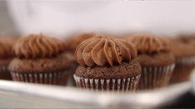 Lakeland bakery makes cupcakes perfect for people who have allergies