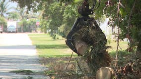 Crews in Brevard County remove debris from homes left by EF-1 tornado