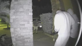 Group causes thousands of dollars in damage after kicking front door of Riverview home
