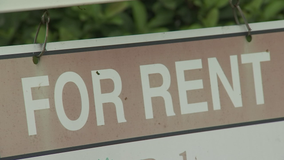 Tampa residents need to make more than $84k to afford rent, study shows