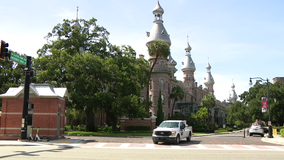 University of Tampa launches mental health support line for students